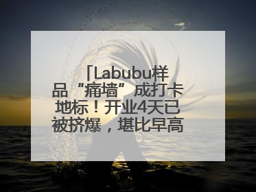 Labubu样品“痛墙”成打卡地标！开业4天已被挤爆，堪比早高峰菜市场