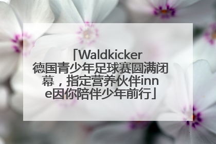 Waldkicker德国青少年足球赛圆满闭幕，指定营养伙伴inne因你陪伴少年前行