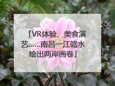 VR体验、美食演艺……南昌一江赣水绘出两岸画卷